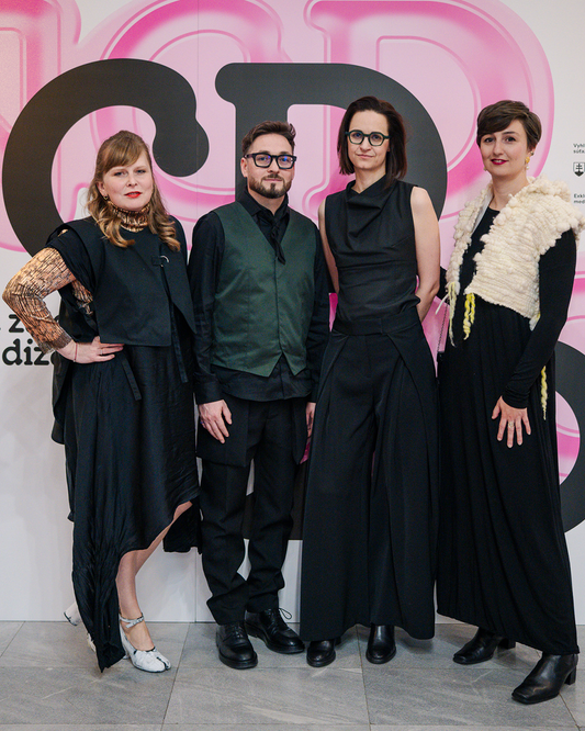 National design award - Established designer